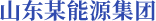 山东某能源集团—集团级数据中台